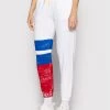 Polo Ralph Lauren Γυναίκες Παντελόνια Φόρμας Παντελόνι φόρμας 211863459001 Λευκό Regular Fit -Polo Ralph Lauren Κατάστημα unnamed file 100