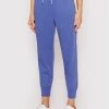 Polo Ralph Lauren Γυναίκες Παντελόνια Φόρμας Παντελόνι φόρμας 211780215018 Μπλε Regular Fit -Polo Ralph Lauren Κατάστημα unnamed file 601